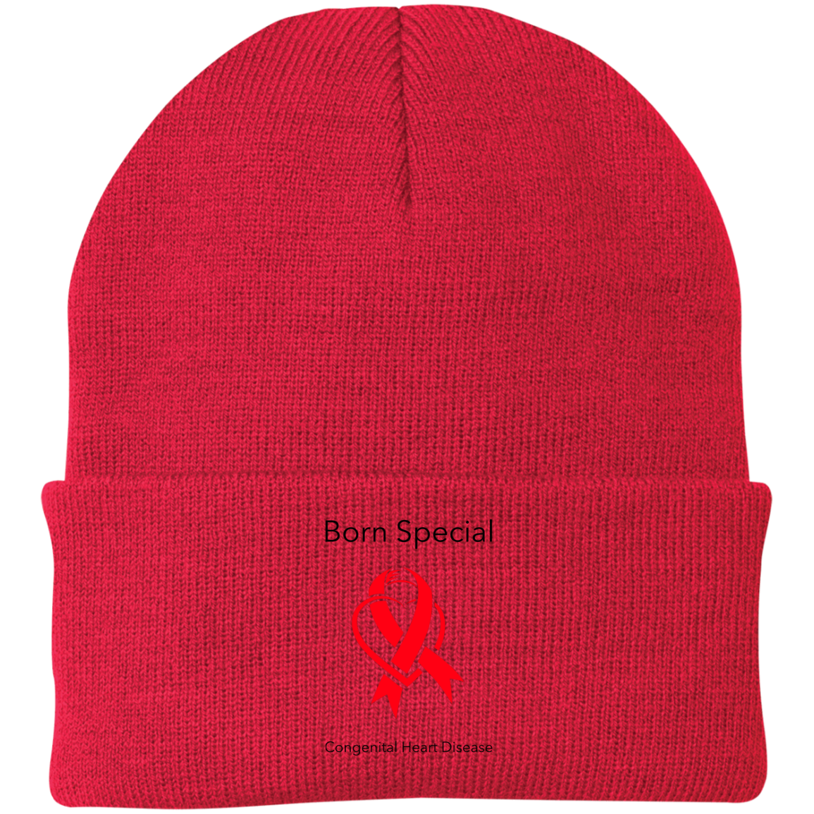 CP90 Embroidered Knit Cap